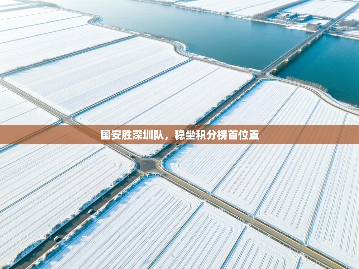 国安胜深圳队,稳坐积分榜首位置 第1张