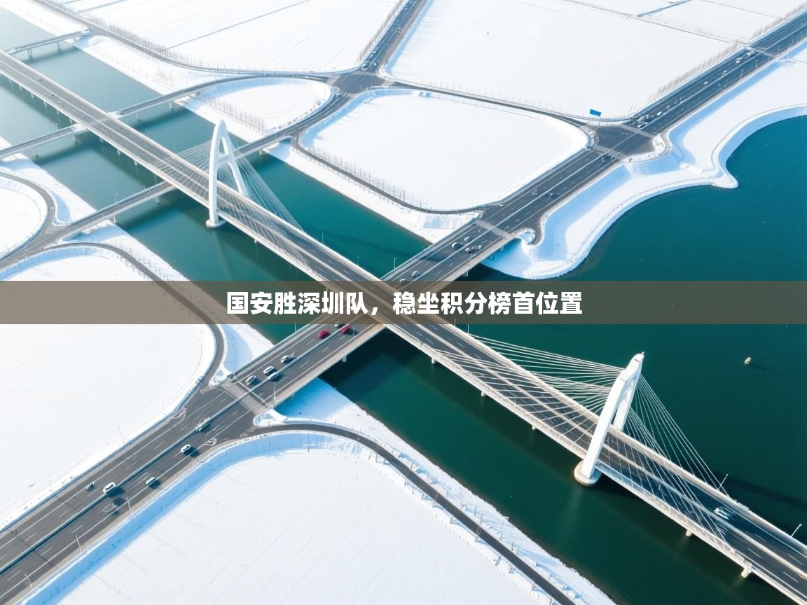 国安胜深圳队,稳坐积分榜首位置 第2张