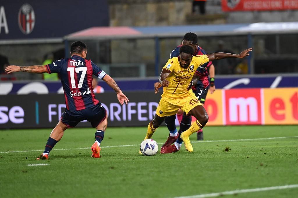 爱游戏官网-博洛尼亚主场未能取胜，保级形势严峻的简单介绍